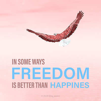 Freedom is better than happiness